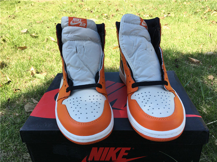 jordan air jordan 1 retro high