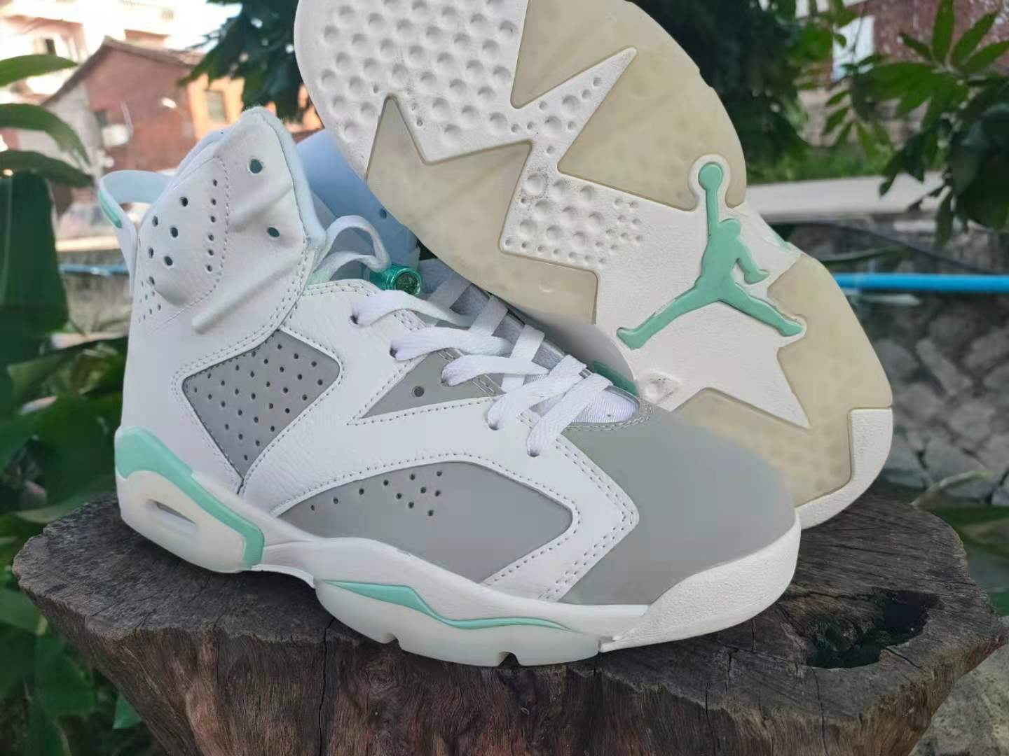 jordan air jordan 6 retro
