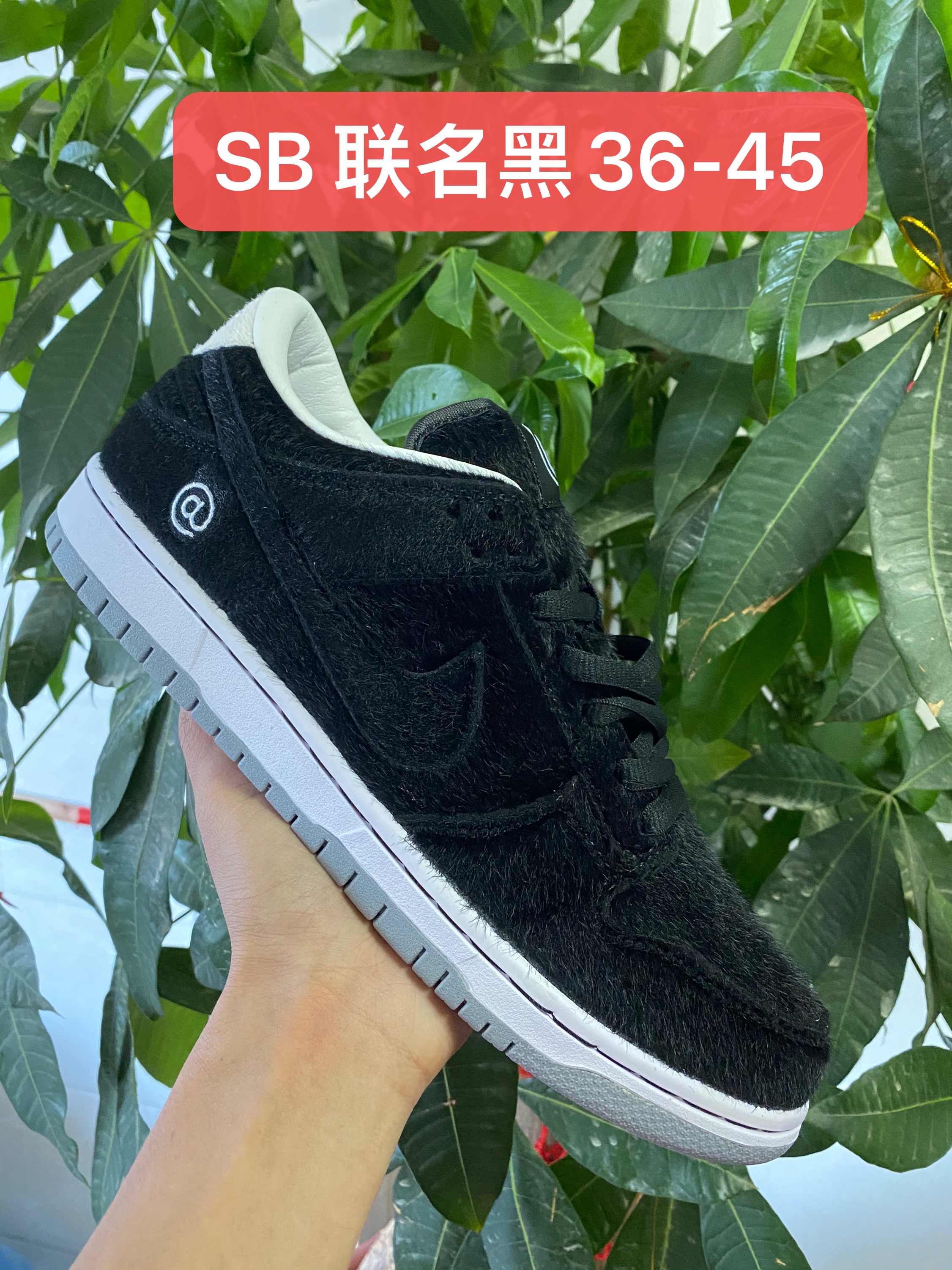 sb dunk - nike