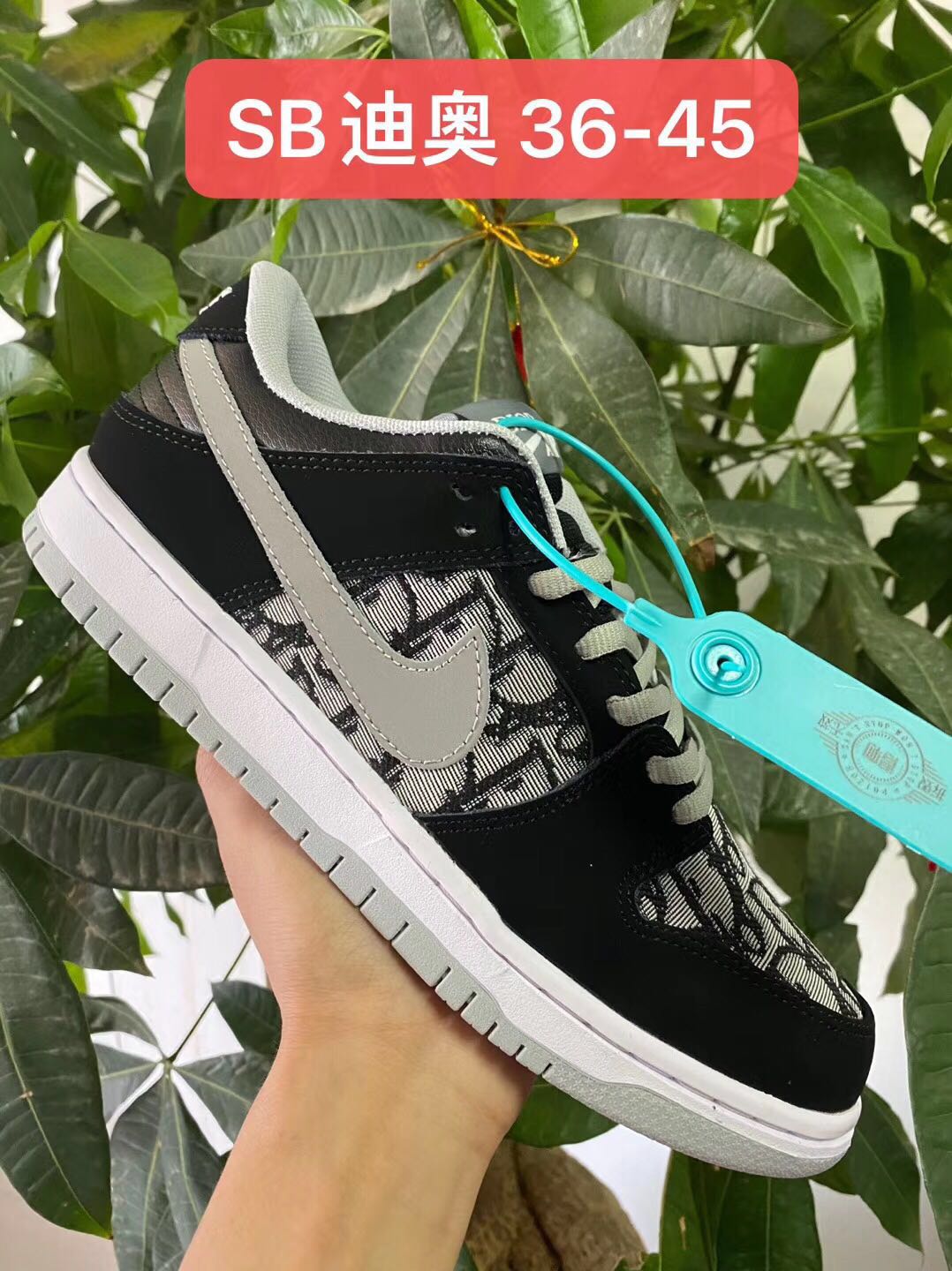 sb dunk - nike